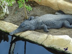 Haus des Meeres 13.03.2026